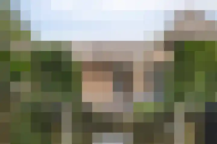 Elzerdijk 5 Joppe thumbnail 67