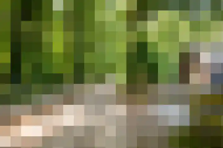 Elzerdijk 5 Joppe thumbnail 68