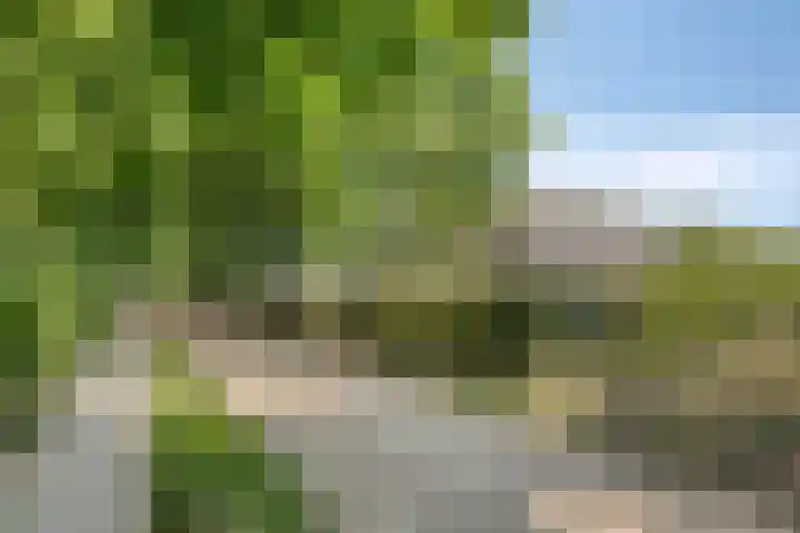 Elzerdijk 5 Joppe thumbnail 69