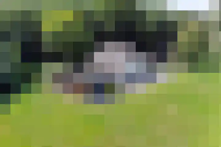 Elzerdijk 5 Joppe thumbnail 7