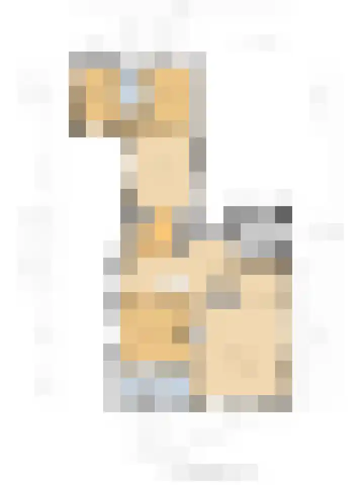 Elzerdijk 5 Joppe thumbnail 70