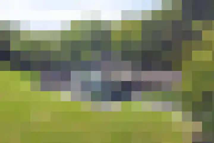 Elzerdijk 5 Joppe thumbnail 8