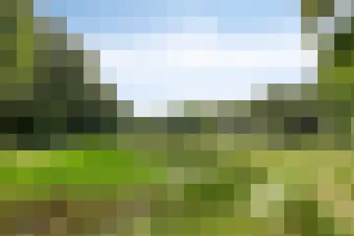 Elzerdijk 5 Joppe thumbnail 9