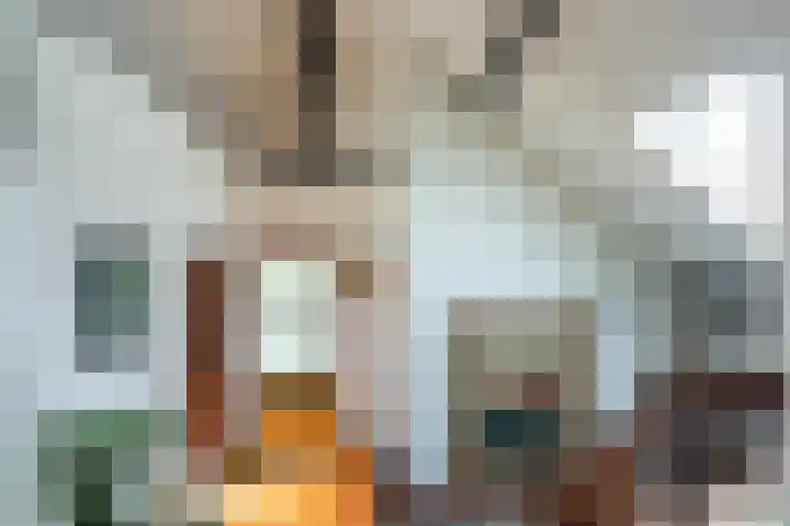 Elzeterweg 3 Mechelen thumbnail 16