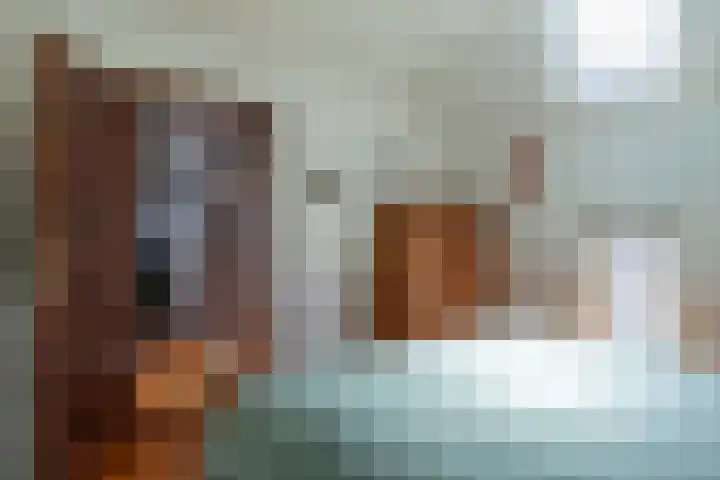 Elzeterweg 3 Mechelen thumbnail 21