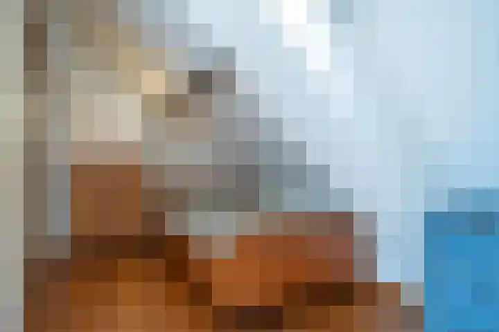 Elzeterweg 3 Mechelen thumbnail 22