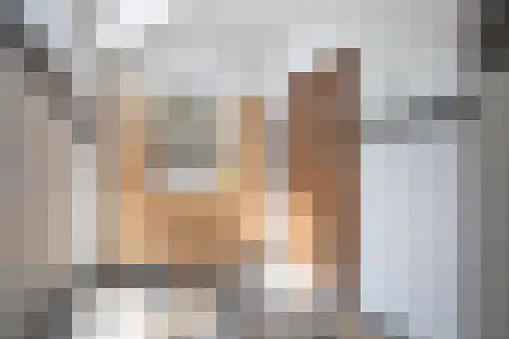 Elzeterweg 3 Mechelen thumbnail 23