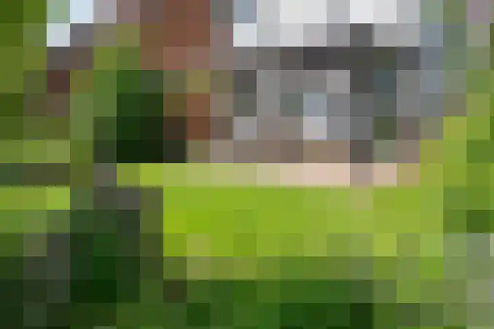 Elzeterweg 3 Mechelen thumbnail 28