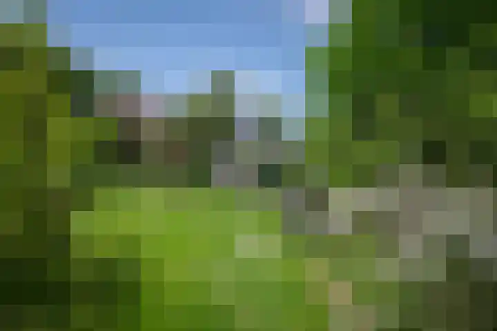 Elzeterweg 3 Mechelen thumbnail 30