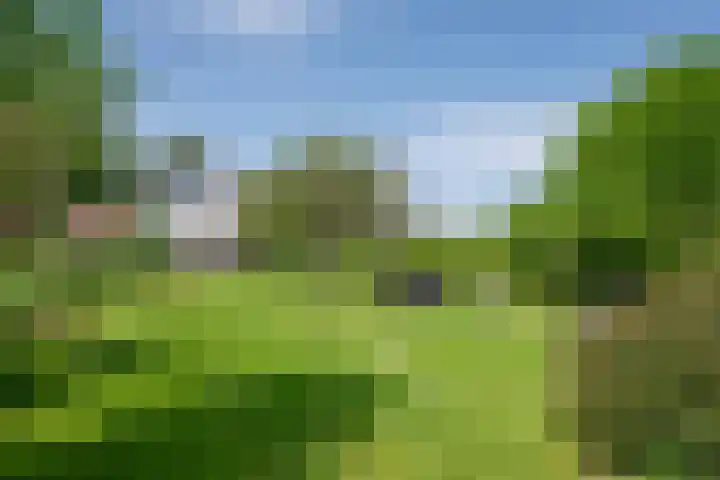 Elzeterweg 3 Mechelen thumbnail 31