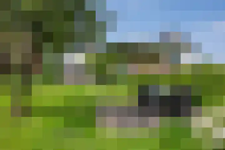 Elzeterweg 3 Mechelen thumbnail 32