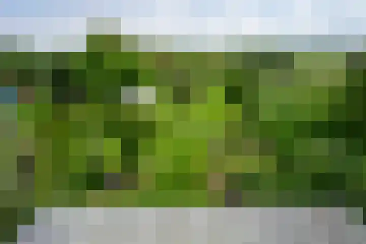 Elzeterweg 3 Mechelen thumbnail 33