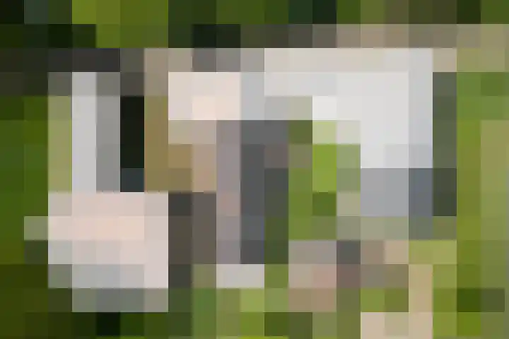 Elzeterweg 3 Mechelen thumbnail 4