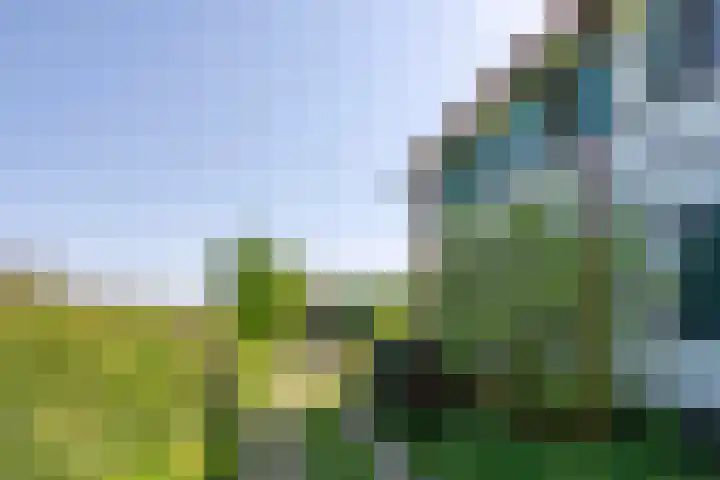 Elzeterweg 3 Mechelen thumbnail 43