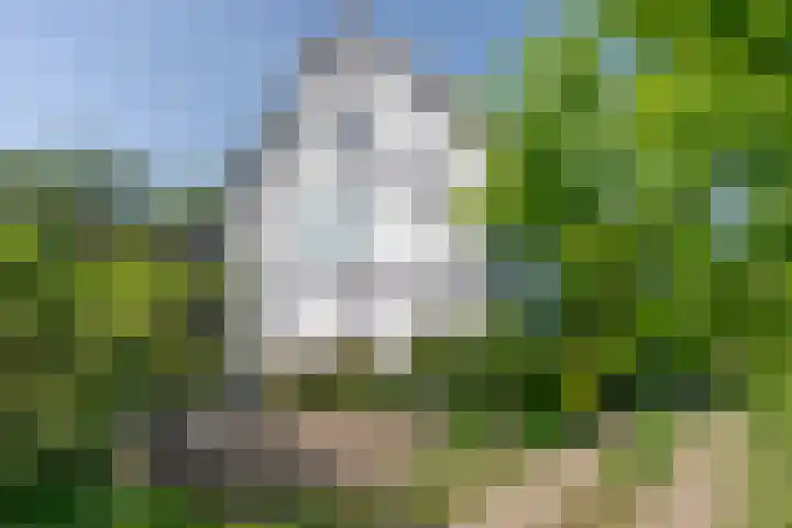 Elzeterweg 3 Mechelen thumbnail 44