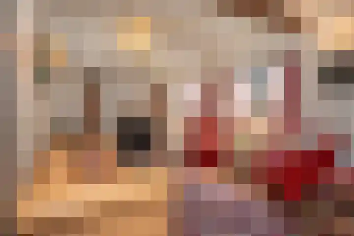 Elzeterweg 3 Mechelen thumbnail 47