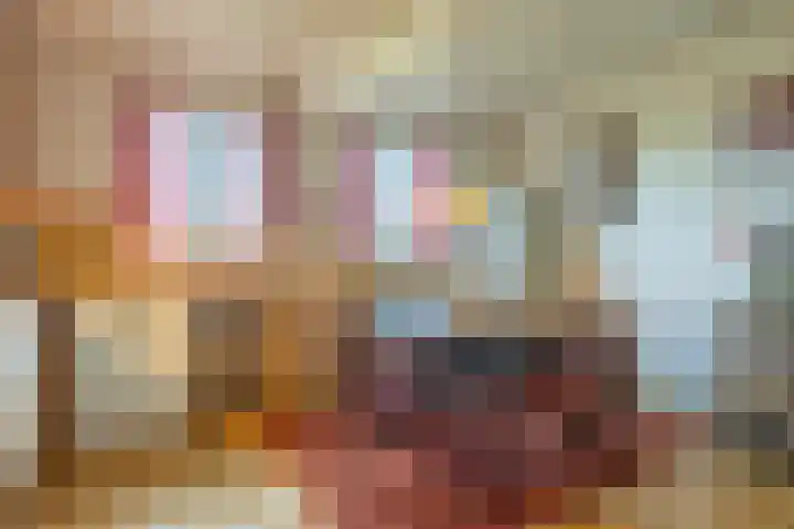 Elzeterweg 3 Mechelen thumbnail 49