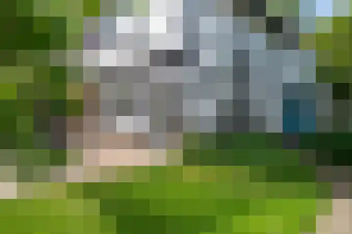 Elzeterweg 3 Mechelen thumbnail 5