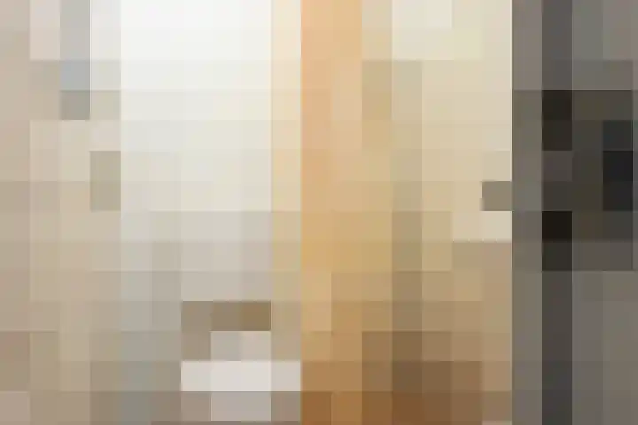 Elzeterweg 3 Mechelen thumbnail 51