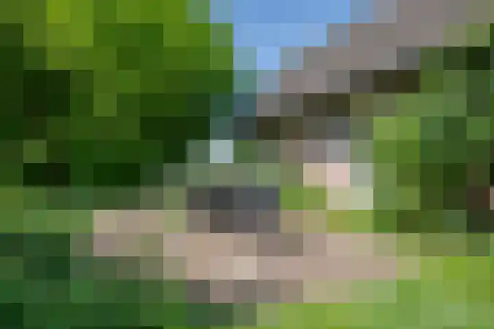 Elzeterweg 3 Mechelen thumbnail 61