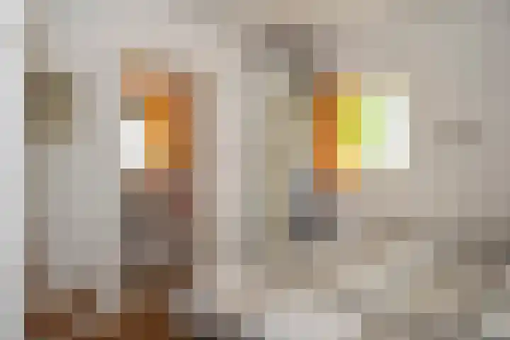 Elzeterweg 3 Mechelen thumbnail 67