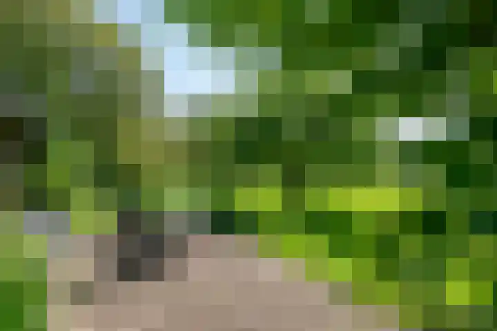 Elzeterweg 3 Mechelen thumbnail 70