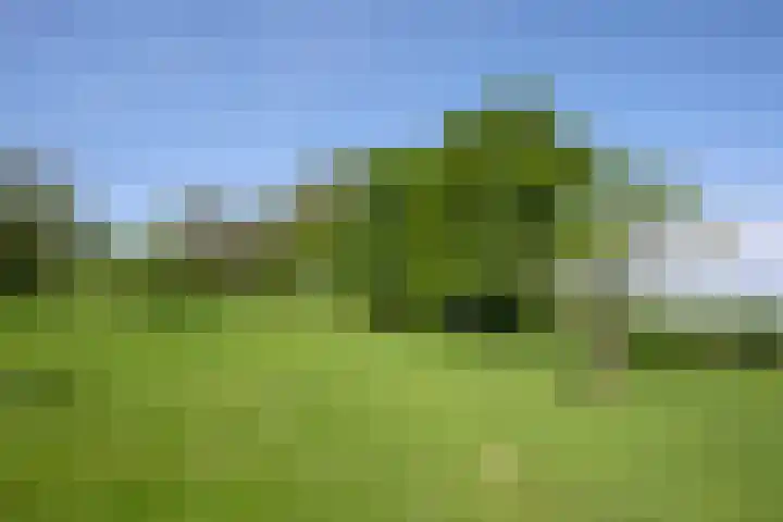 Elzeterweg 3 Mechelen thumbnail 71