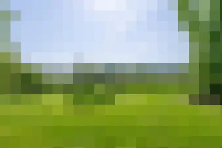 Elzeterweg 3 Mechelen thumbnail 76