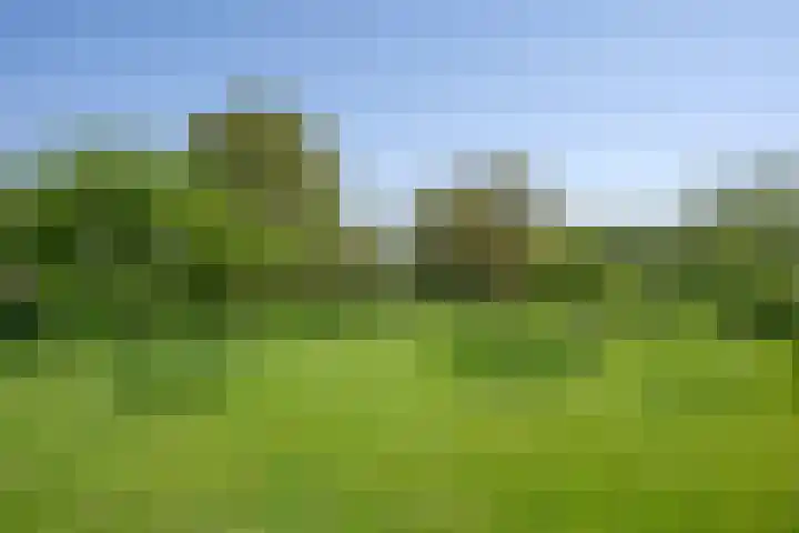 Elzeterweg 3 Mechelen thumbnail 77