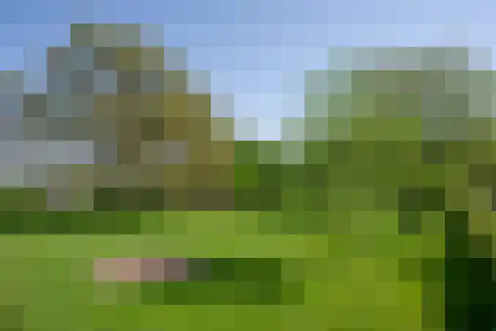 Elzeterweg 3 Mechelen thumbnail 78