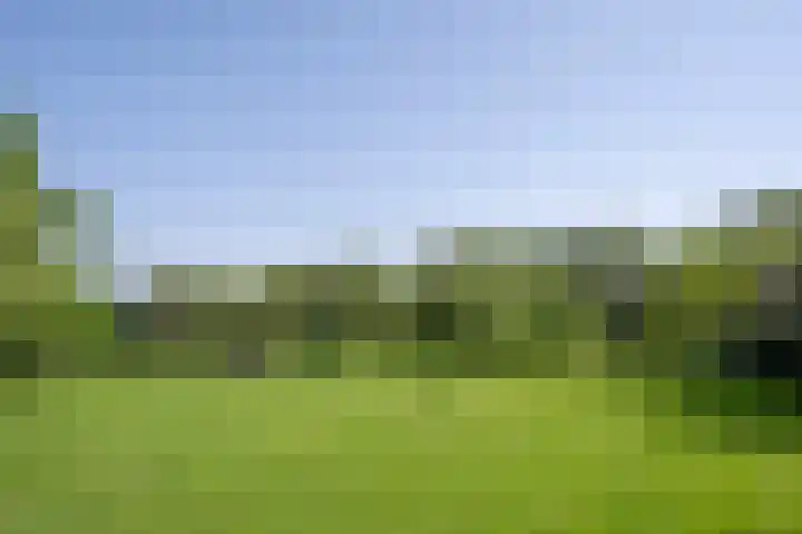 Elzeterweg 3 Mechelen thumbnail 79