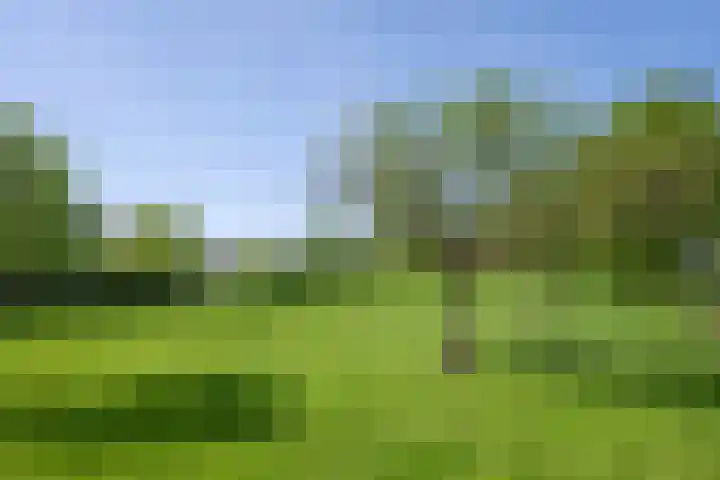 Elzeterweg 3 Mechelen thumbnail 81
