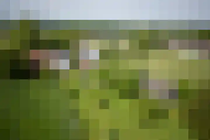 Elzeterweg 3 Mechelen thumbnail 83