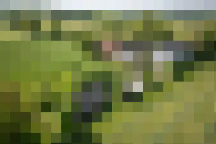 Elzeterweg 3 Mechelen thumbnail 84
