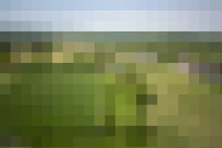 Elzeterweg 3 Mechelen thumbnail 85