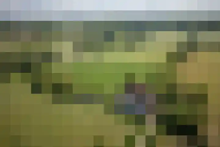 Elzeterweg 3 Mechelen thumbnail 86
