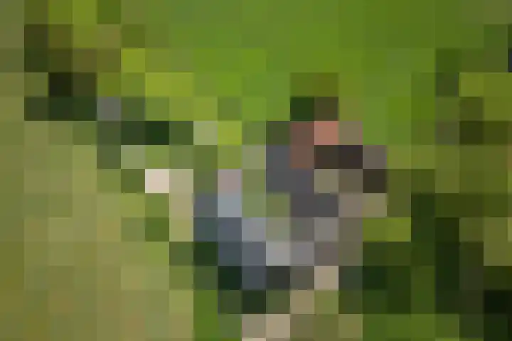 Elzeterweg 3 Mechelen thumbnail 87