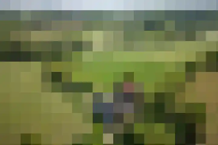 Elzeterweg 3 Mechelen thumbnail 88