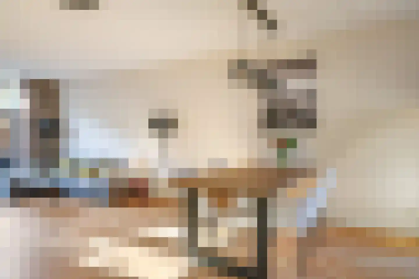 Emailleerstraat 18 Gaanderen thumbnail 16