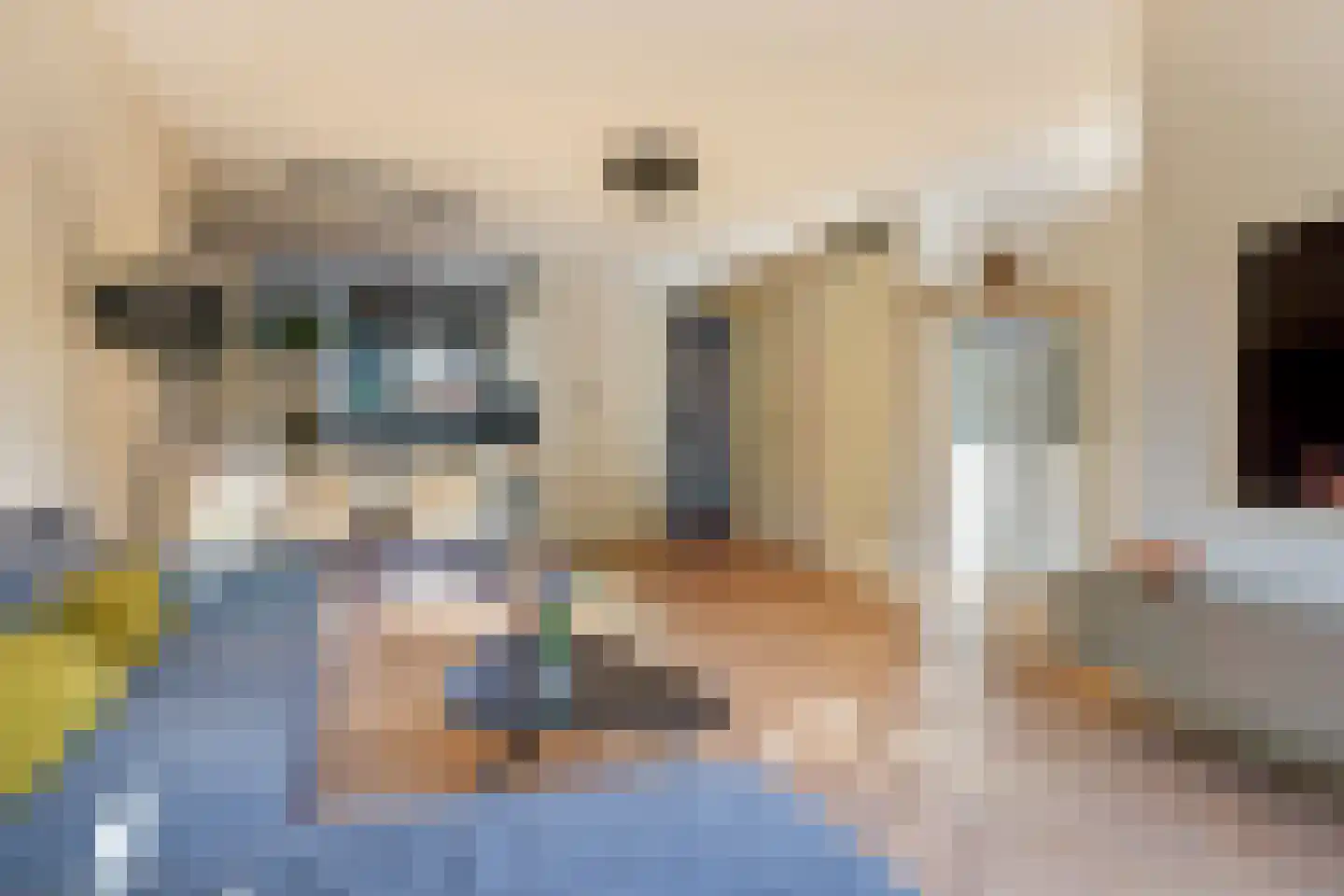 Emailleerstraat 18 Gaanderen thumbnail 23