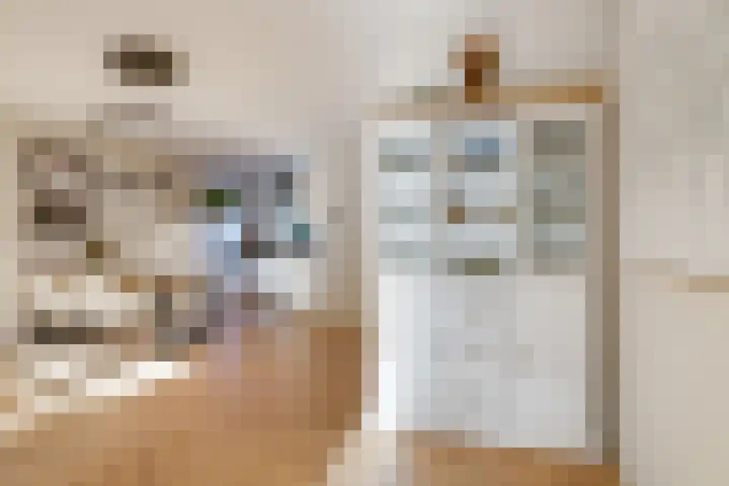 Emailleerstraat 18 Gaanderen thumbnail 27