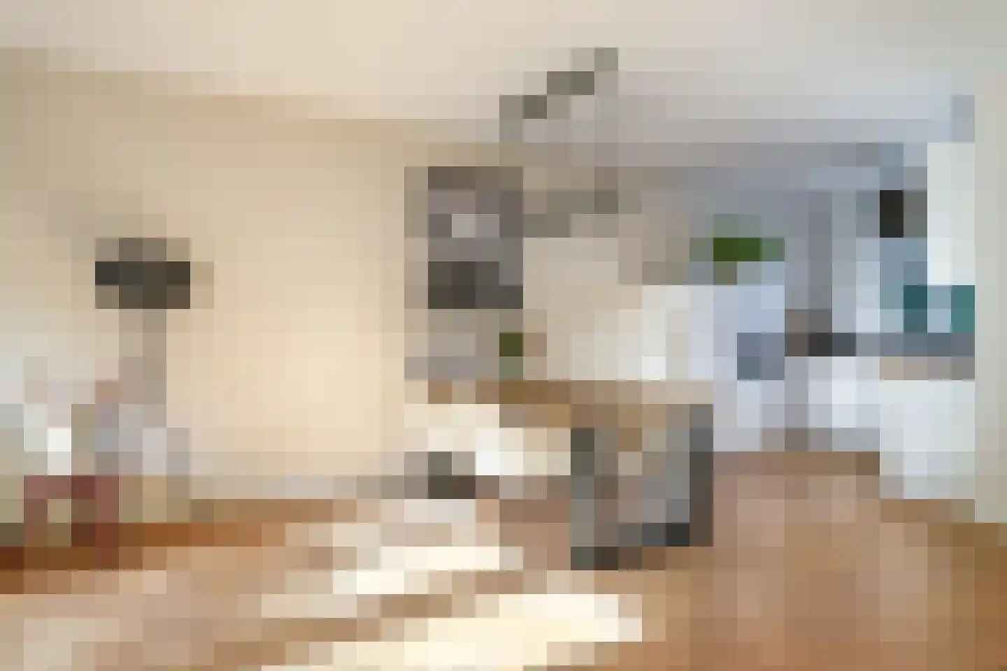 Emailleerstraat 18 Gaanderen thumbnail 28