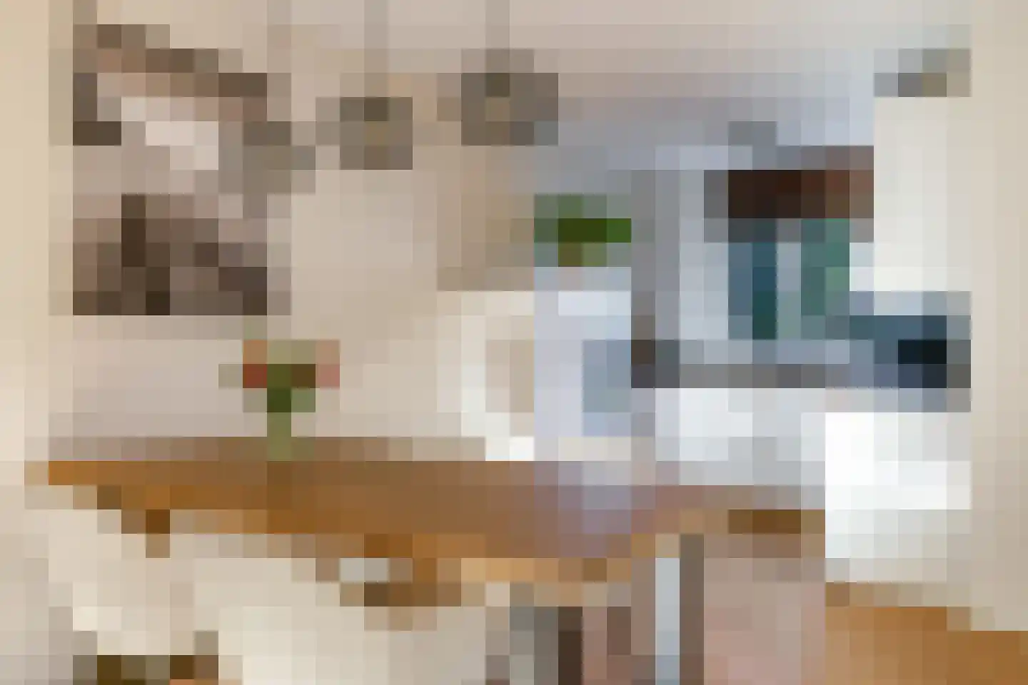 Emailleerstraat 18 Gaanderen thumbnail 29