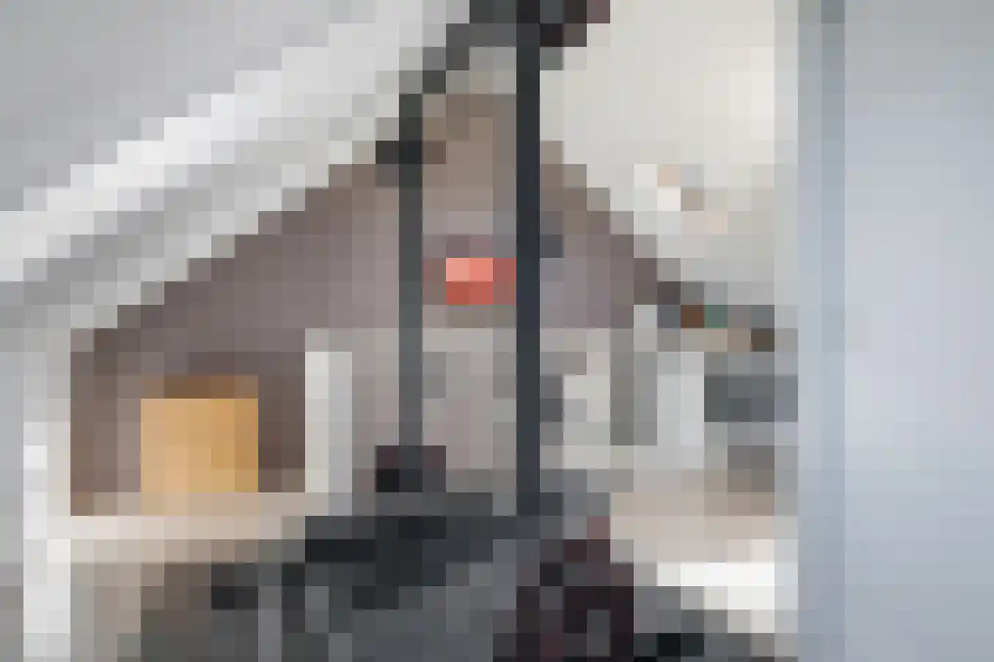 Emailleerstraat 18 Gaanderen thumbnail 47