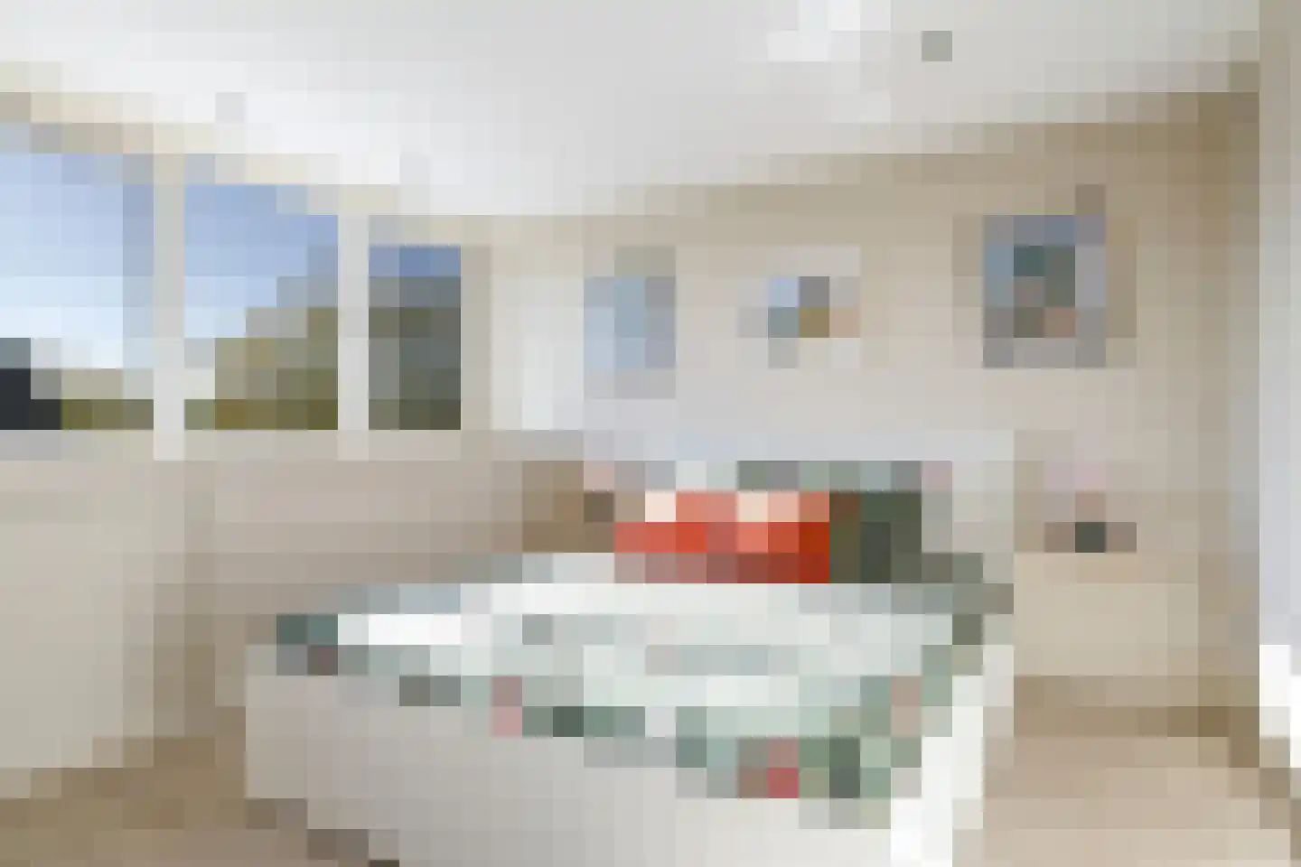 Emailleerstraat 18 Gaanderen thumbnail 51