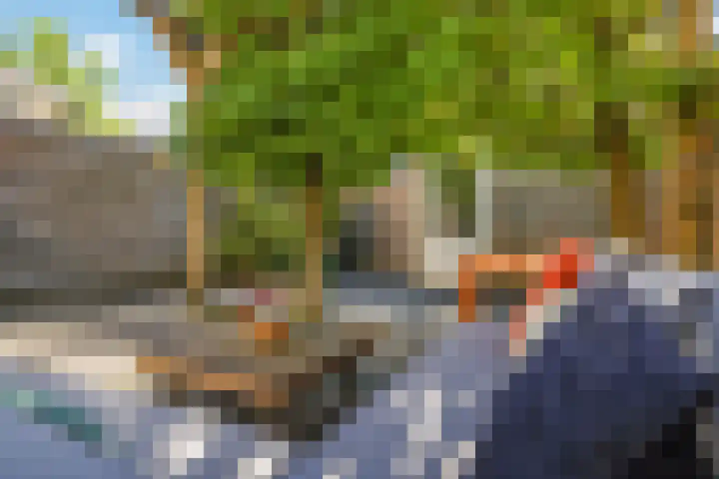Emailleerstraat 18 Gaanderen thumbnail 53