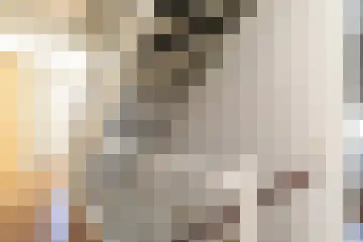 Emailleerstraat 2 Gaanderen thumbnail 20