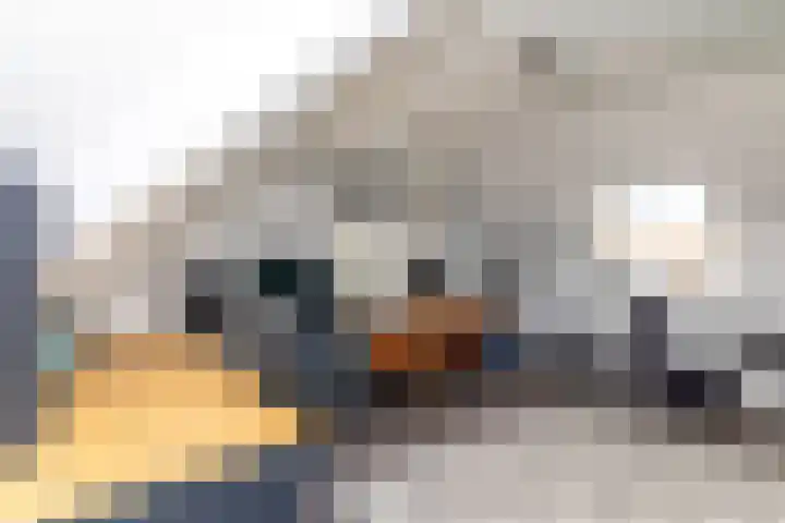 Emailleerstraat 2 Gaanderen thumbnail 22