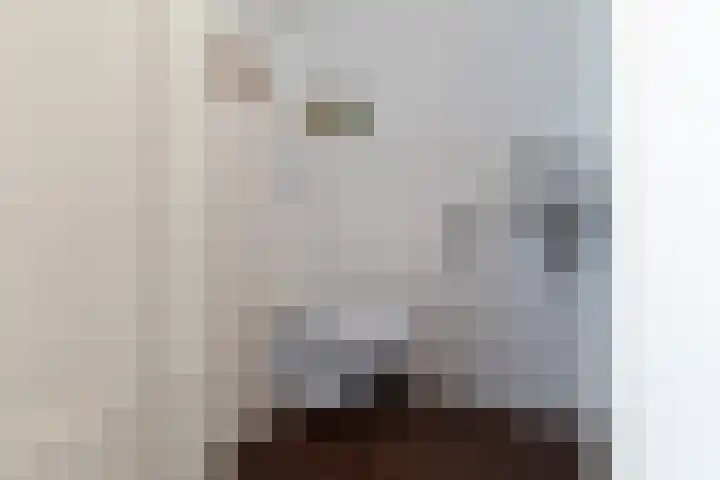 Emailleerstraat 2 Gaanderen thumbnail 6
