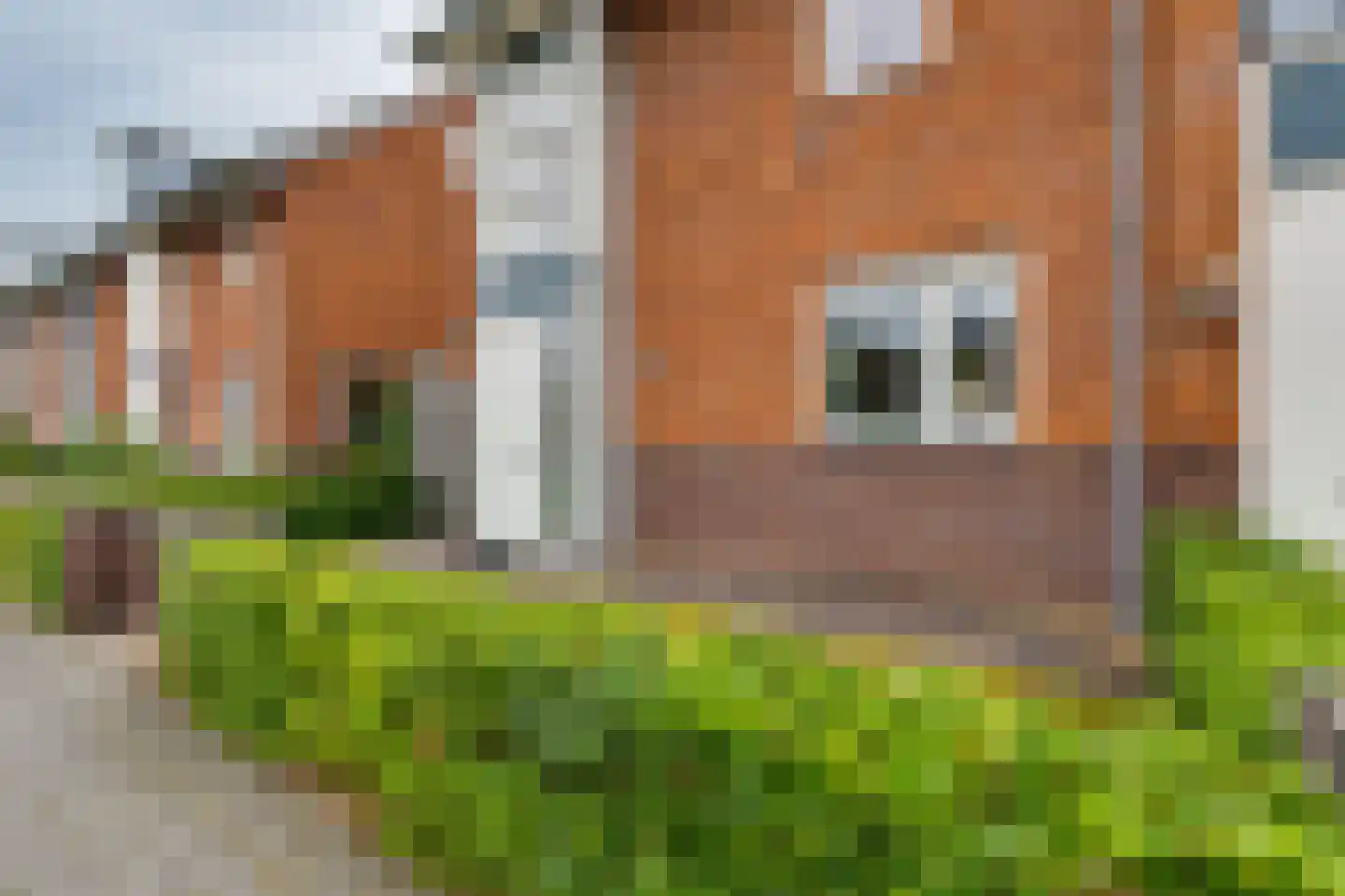 Emailleerstraat 26 Gaanderen thumbnail 28